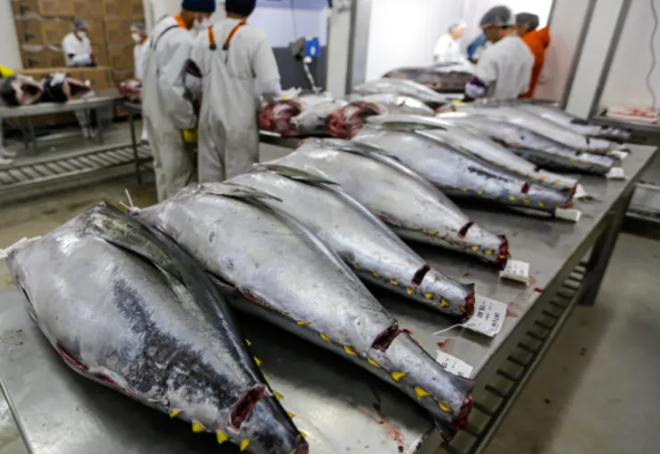 TARIFLÁVIO BOLSOMASTER: Tarifas americanas derrubam exportações do RN para os EUA em 60,8% no primeiro semestre de 2026